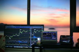 Maximizing Your Profits with Go4rex: Tips and Strategies