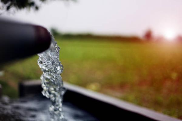 Advanced Irrigation Techniques at Skinner Farms