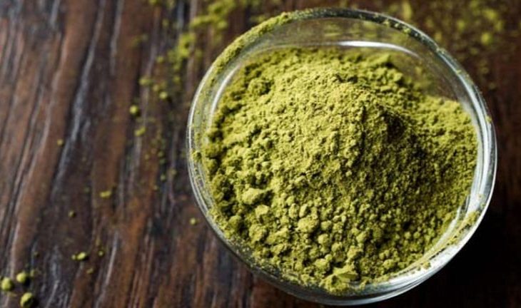 The Allure of Kratom Insights into Its Historical Significance and Modern Use